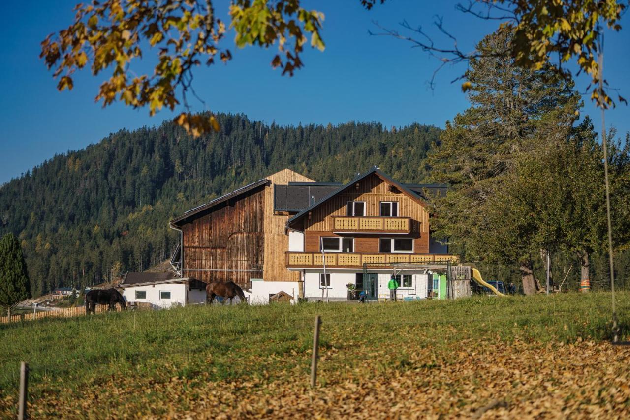 Deluxe Appartement Blasbichlerhof Ramsau am Dachstein Buitenkant foto
